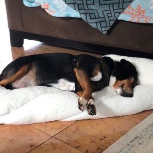 Meet your Posher, Antonella